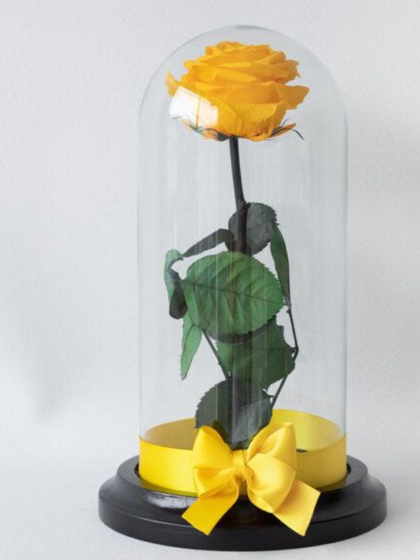 Flores Floristería Sabaneta 108